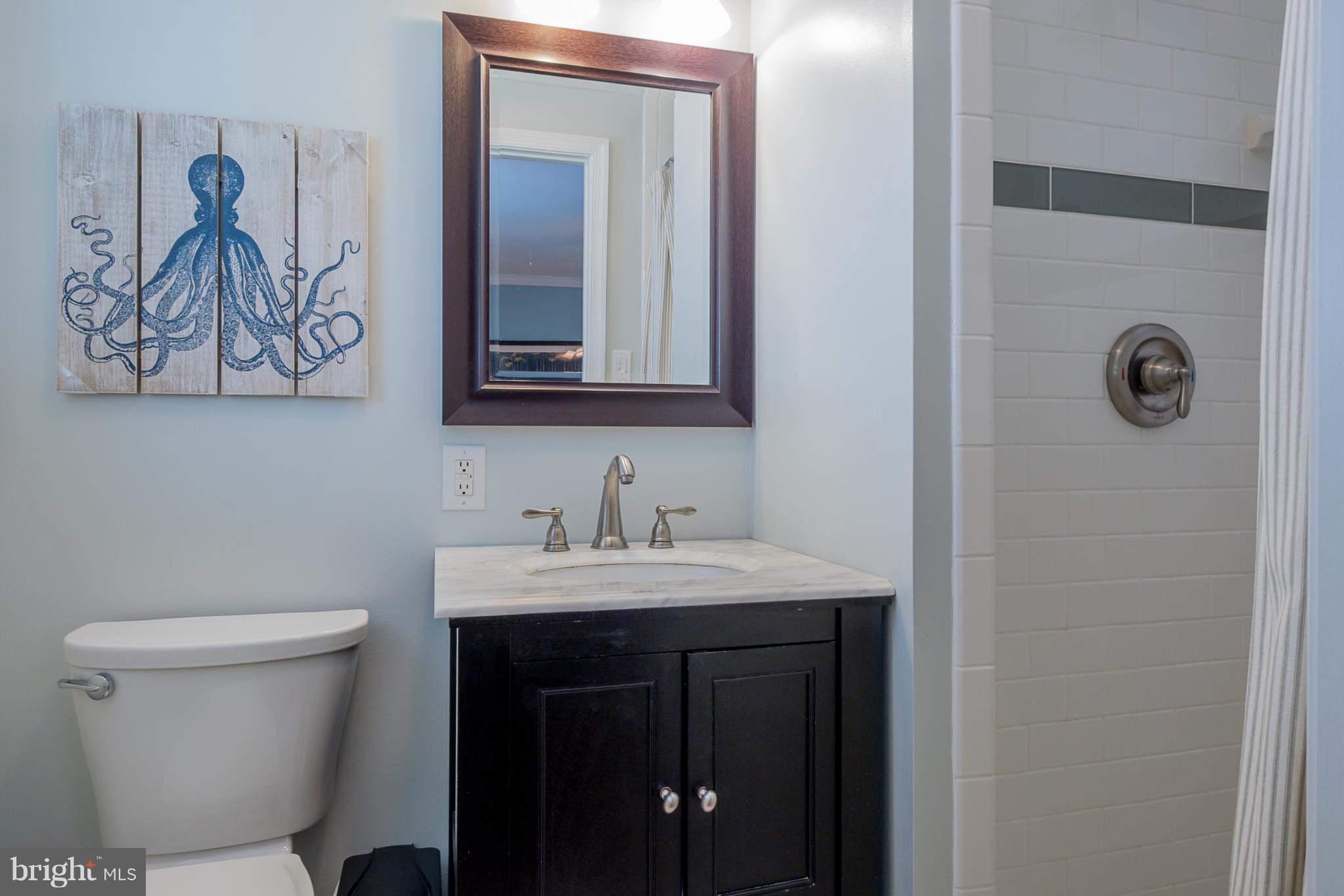 4723 Ballygar Road Baltimore, MD 21236 - Photo 13 of 30 Bath (Master)