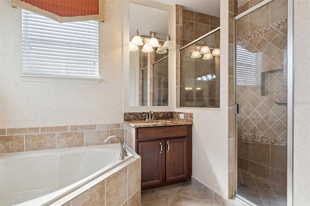 6552 Helmsley Circle Windermere, FL 34786 - Photo 21 of 53 a bathroom with a bath tub a sink and mirror