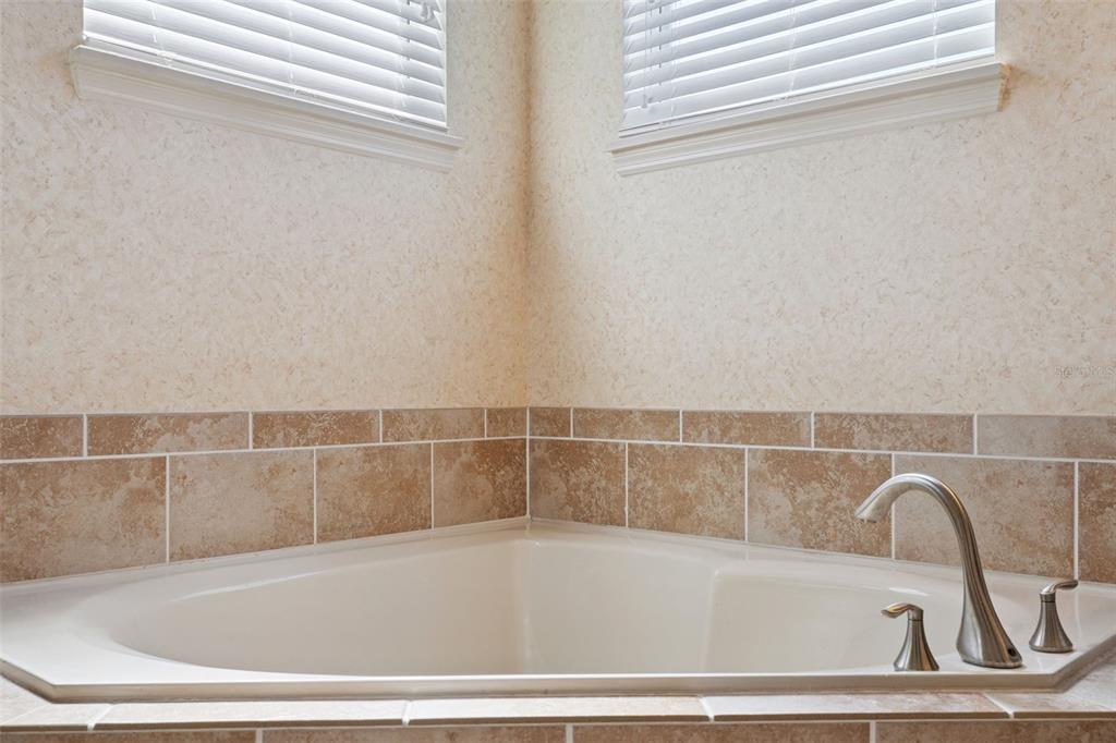6552 Helmsley Circle Windermere, FL 34786 - Photo 22 of 53 a bathroom with a bathtub