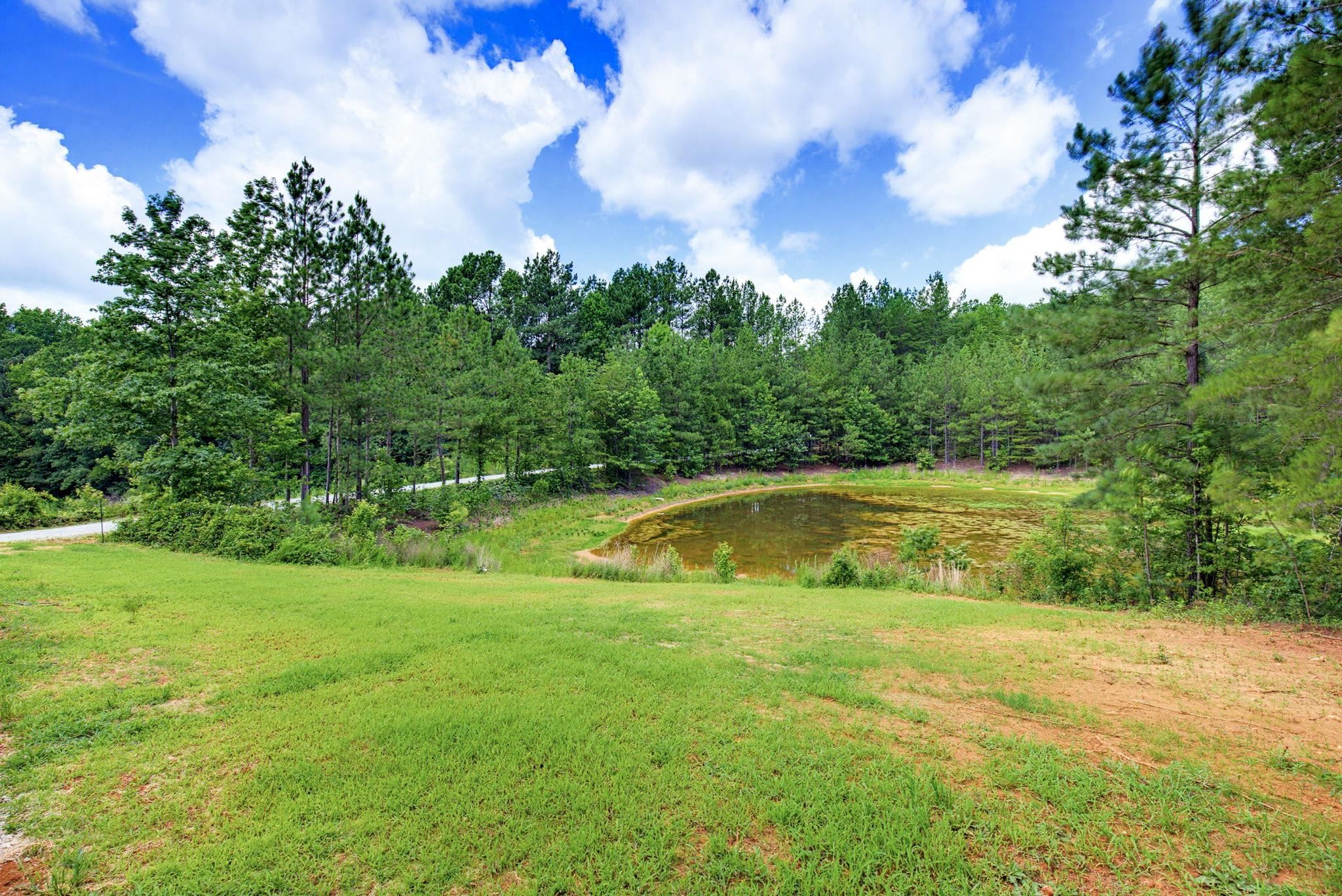 1217 Pleasant Hill Road Landrum, SC 29356 - Photo 36 of 50