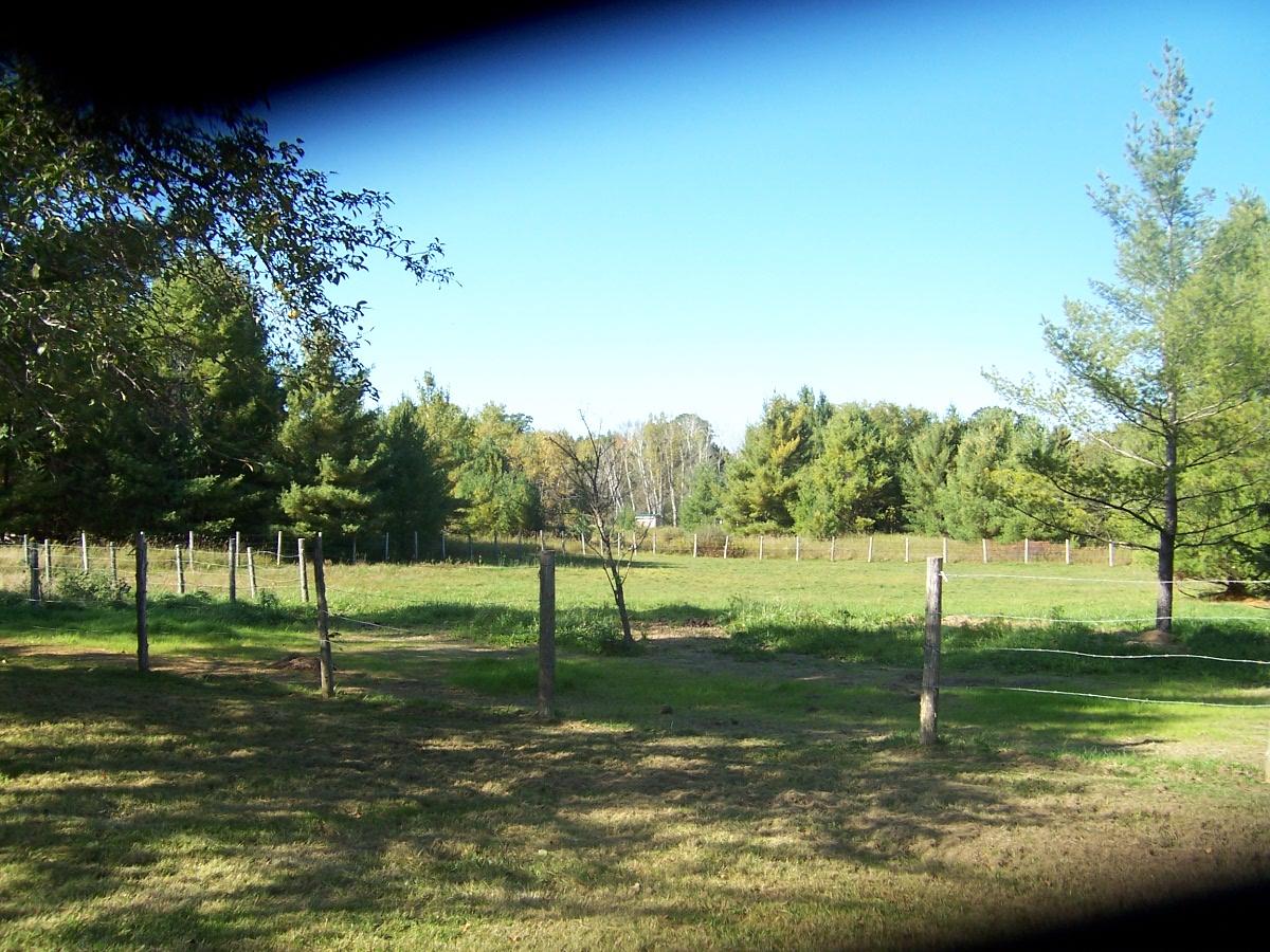 2434 Maier Road Mio, MI 48647 - Photo 3 of 13 Gallery Image 3
