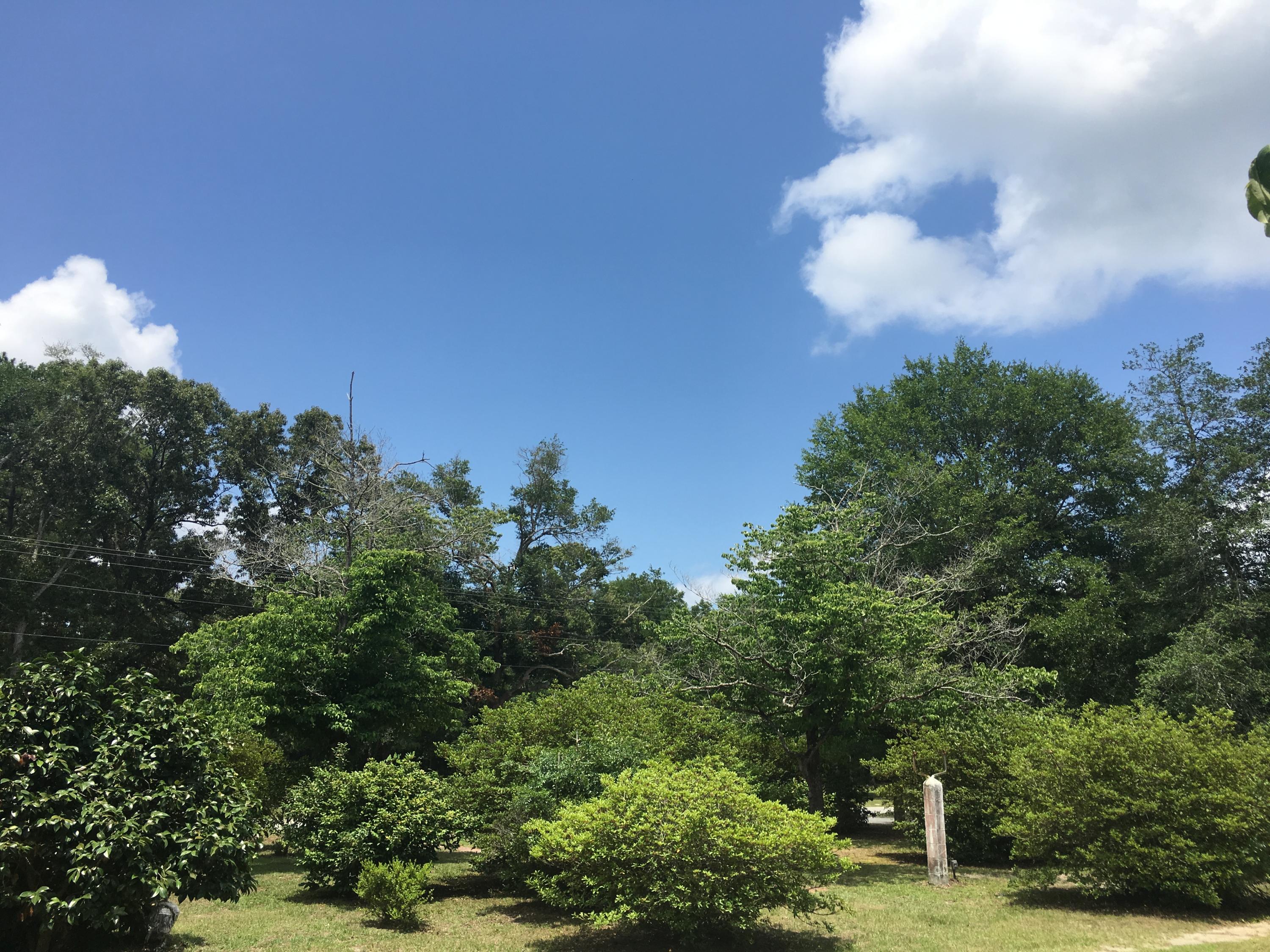 121 Ruffin Road Walterboro, SC 29488 - Photo 23 of 25 121 Ruffin Road