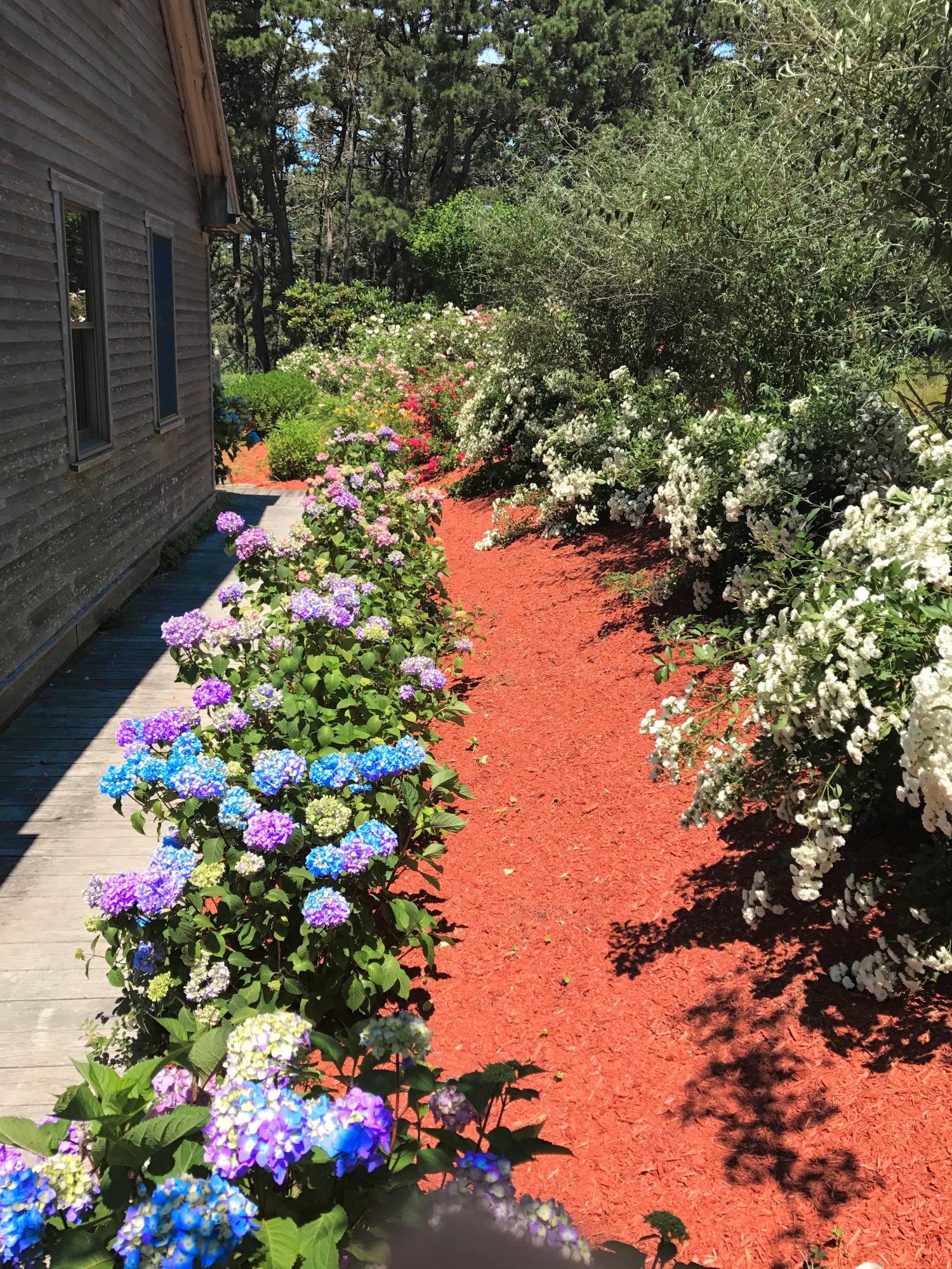 50 Major Doane Road Wellfleet, MA 02667 - Photo 80 of 91 IMG_2091 (2)