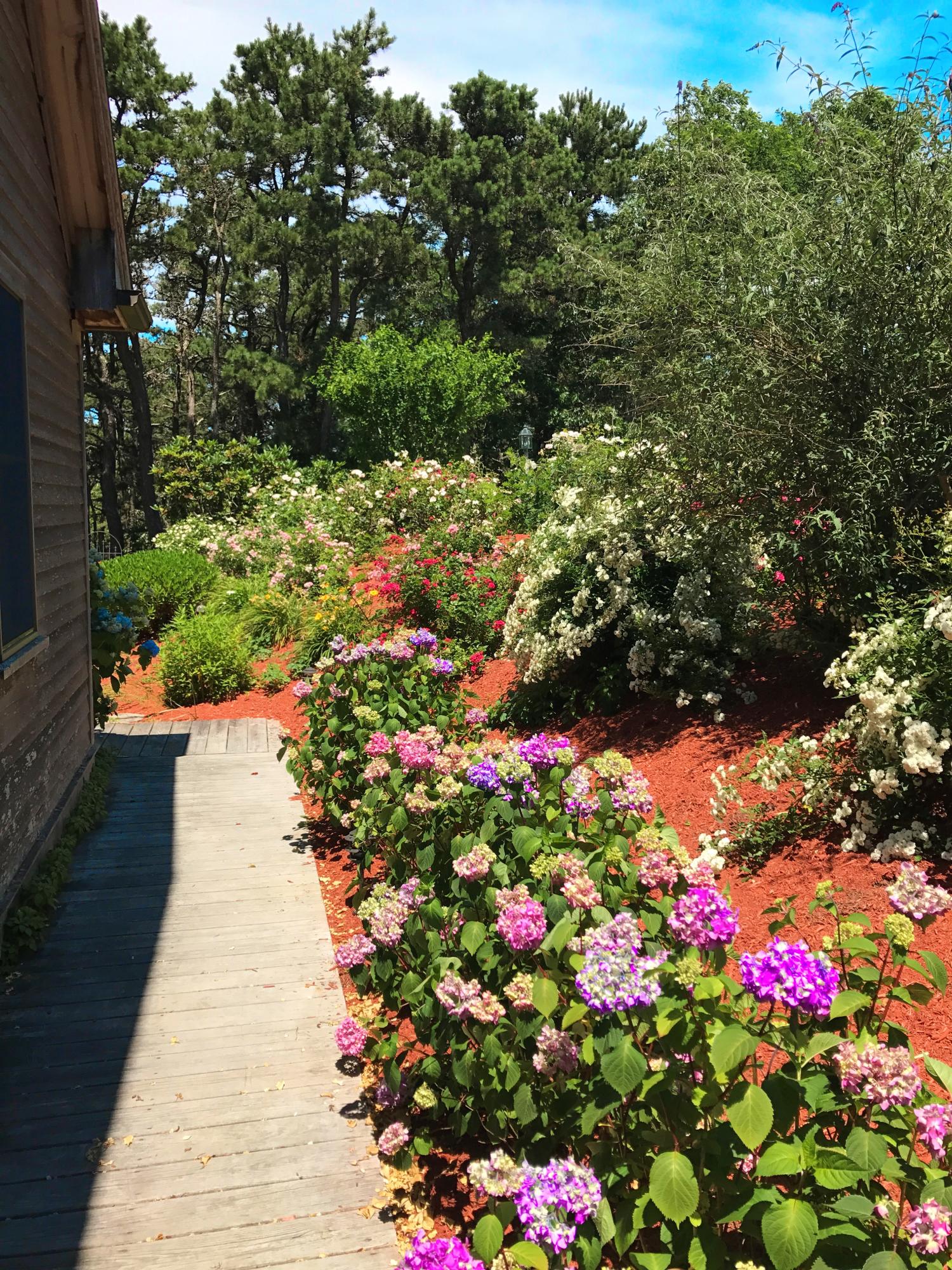 50 Major Doane Road Wellfleet, MA 02667 - Photo 81 of 91 IMG_2092 (2)