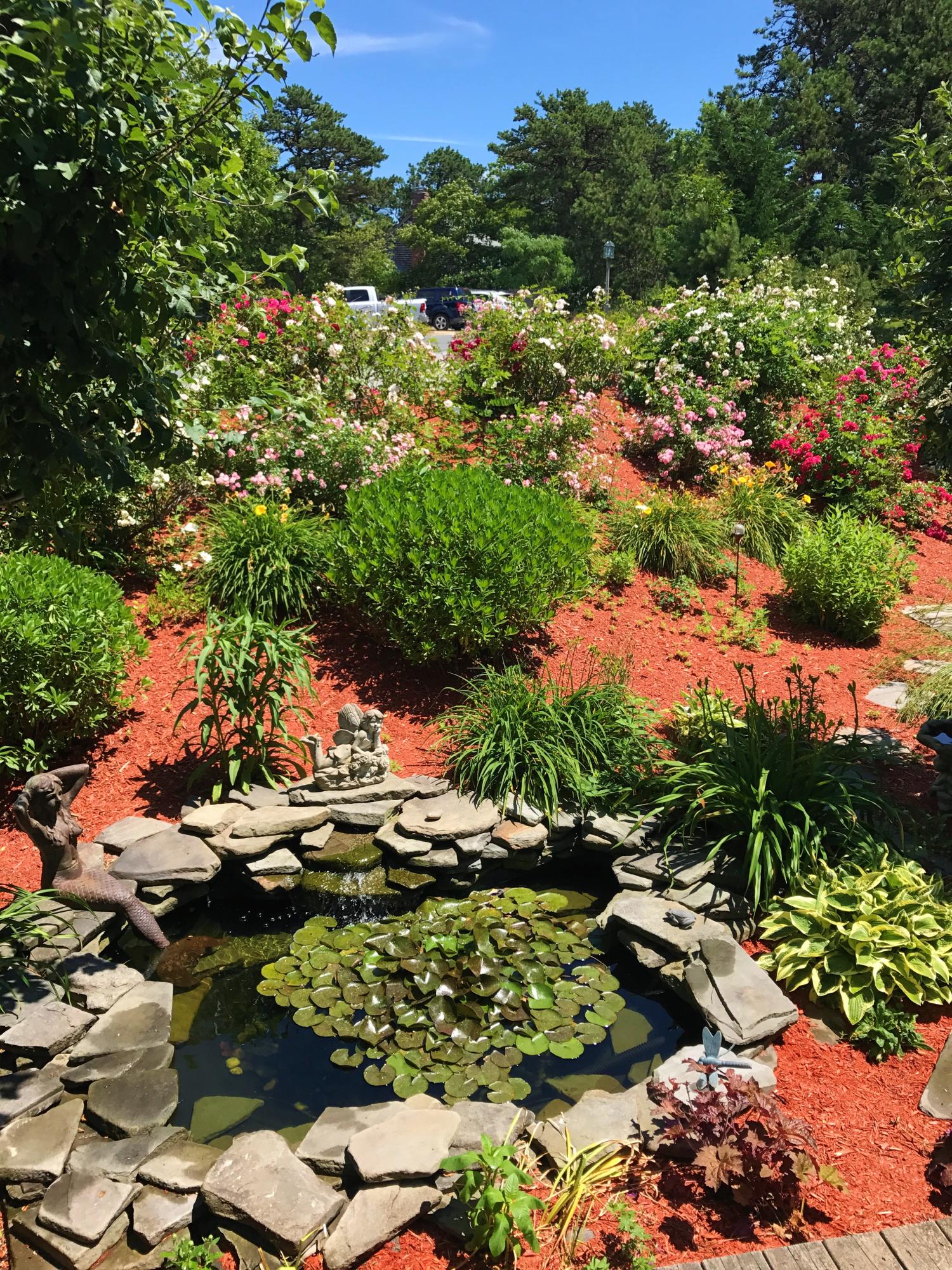 50 Major Doane Road Wellfleet, MA 02667 - Photo 82 of 91 IMG_2094 (2)