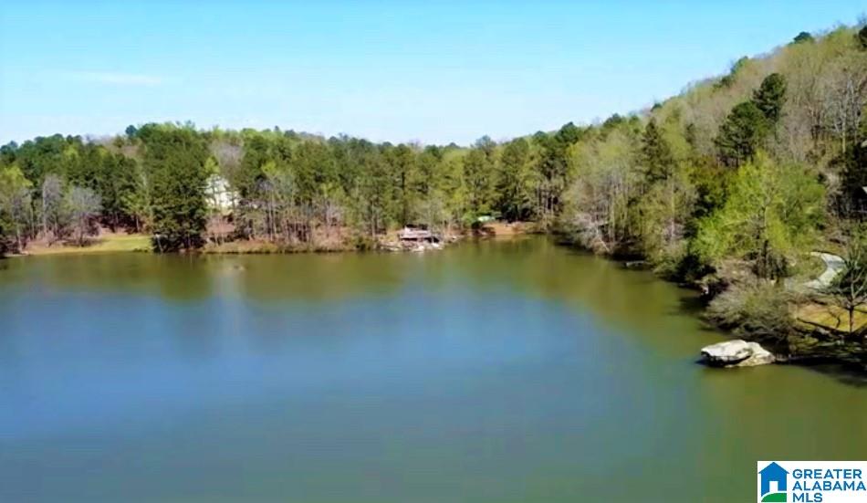 6316 Ransom Road Birmingham, AL 35210 - Photo 41 of 41 Gallery Image 41