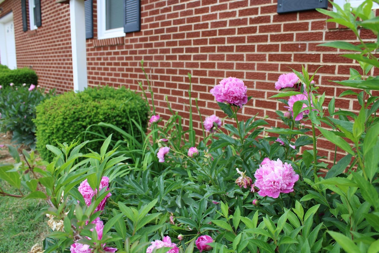 1400 Spring Hill Road Staunton, VA 24401 - Photo 13 of 43 Gallery Image 13