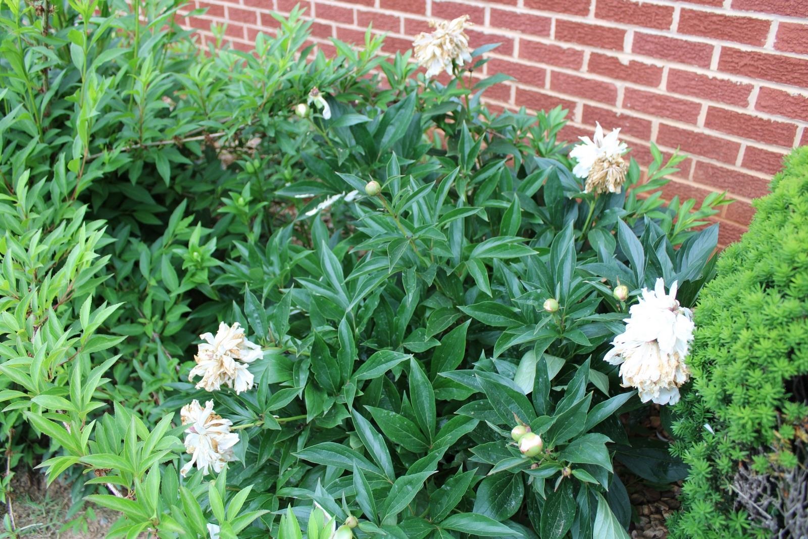 1400 Spring Hill Road Staunton, VA 24401 - Photo 14 of 43 Gallery Image 14