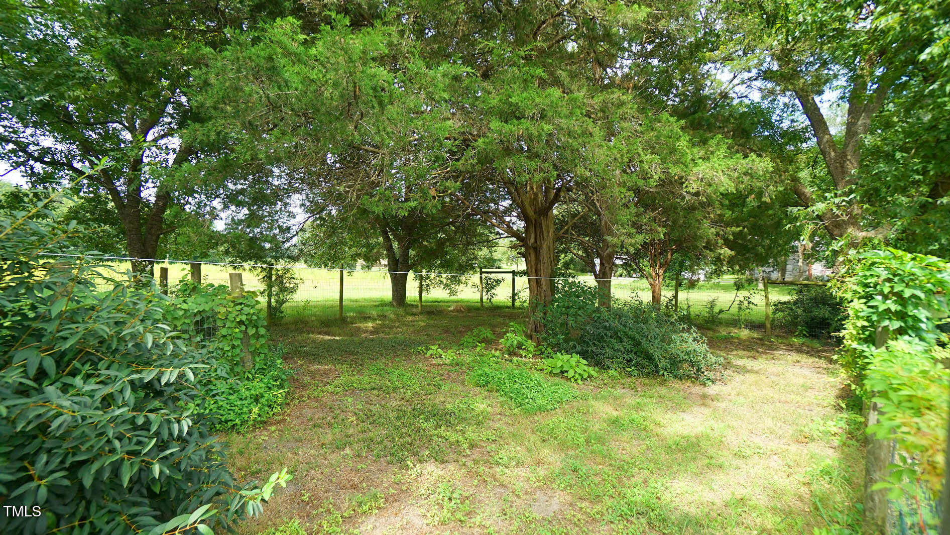 9358 Main Street Castalia, NC 27816 - Photo 85 of 92 a view of backyard with green space