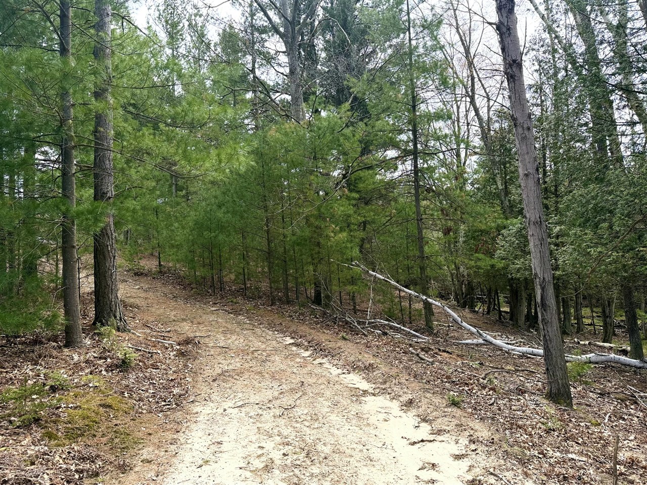 Vl South County Line Road Manistee, MI 49660 - Photo 16 of 23