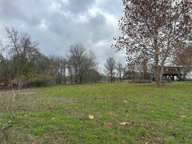 a view of a field of grass and trees