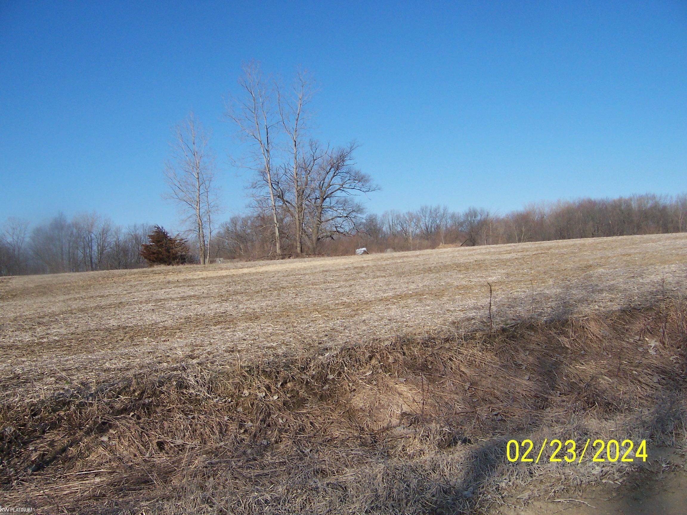 7141 Arendt Road Yale, MI 48097 - Photo 2 of 8 Gallery Image 2
