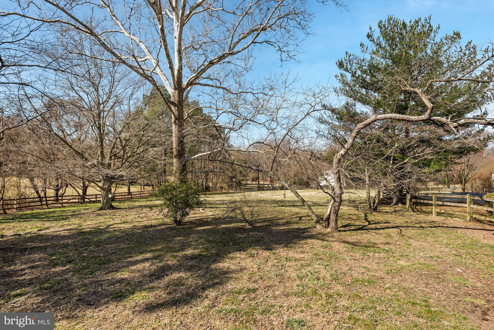 326 Walker Road Great Falls, VA 22066 - Photo 46 of 51