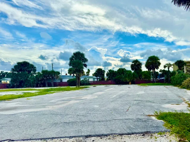 a view of a park with palm trees