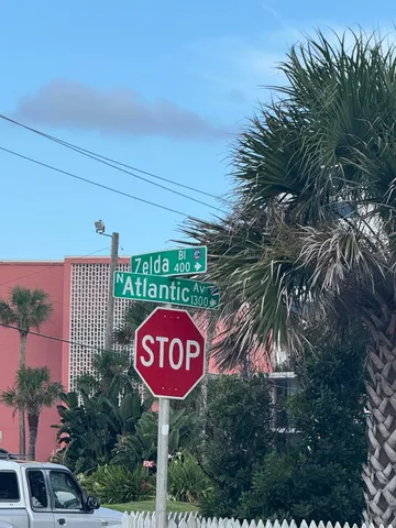 a view of a park with palm trees