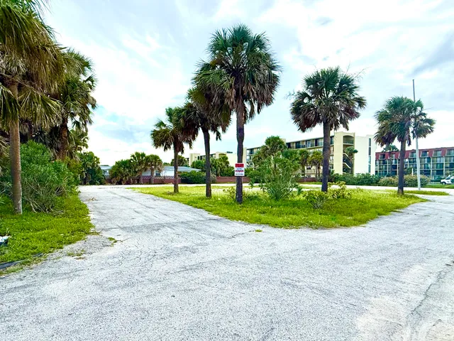 a view of a park with palm trees