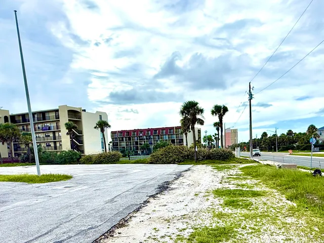 a view of a park with palm trees