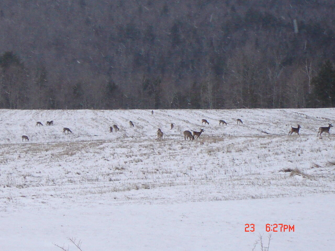 780 Jackson Road Monroe, ME 04951 - Photo 58 of 63 DSC01270