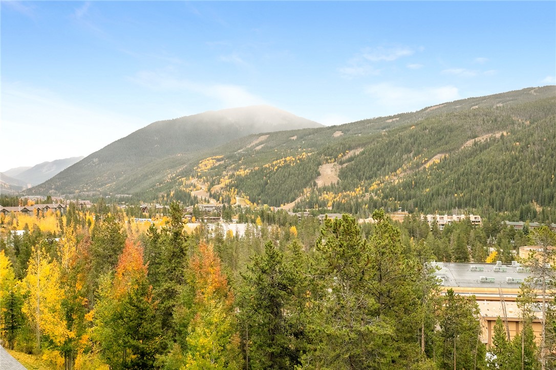 22097 Saints John Road, Unit 2539 Keystone, CO 80435 - Photo 19 of 20 View from private deck