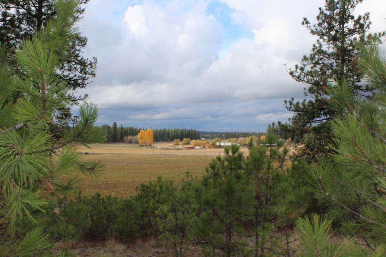13210 South Short Road Cheney, WA 99004 - Photo 1 of 17
