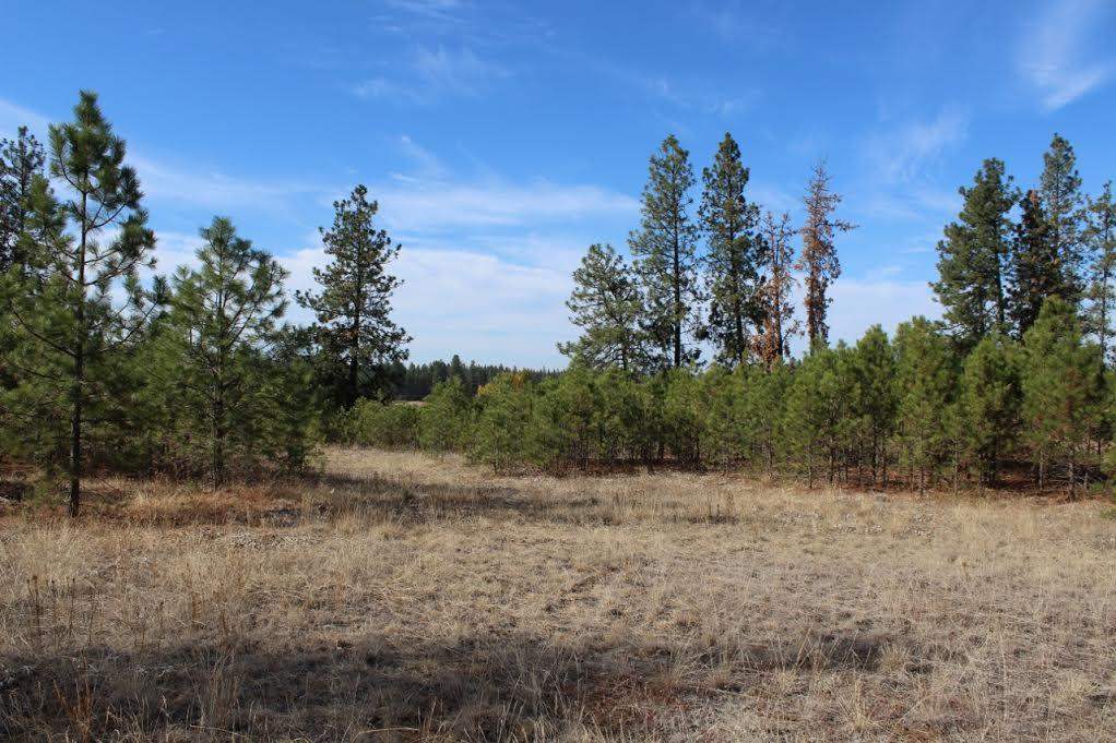 13210 South Short Road Cheney, WA 99004 - Photo 2 of 17