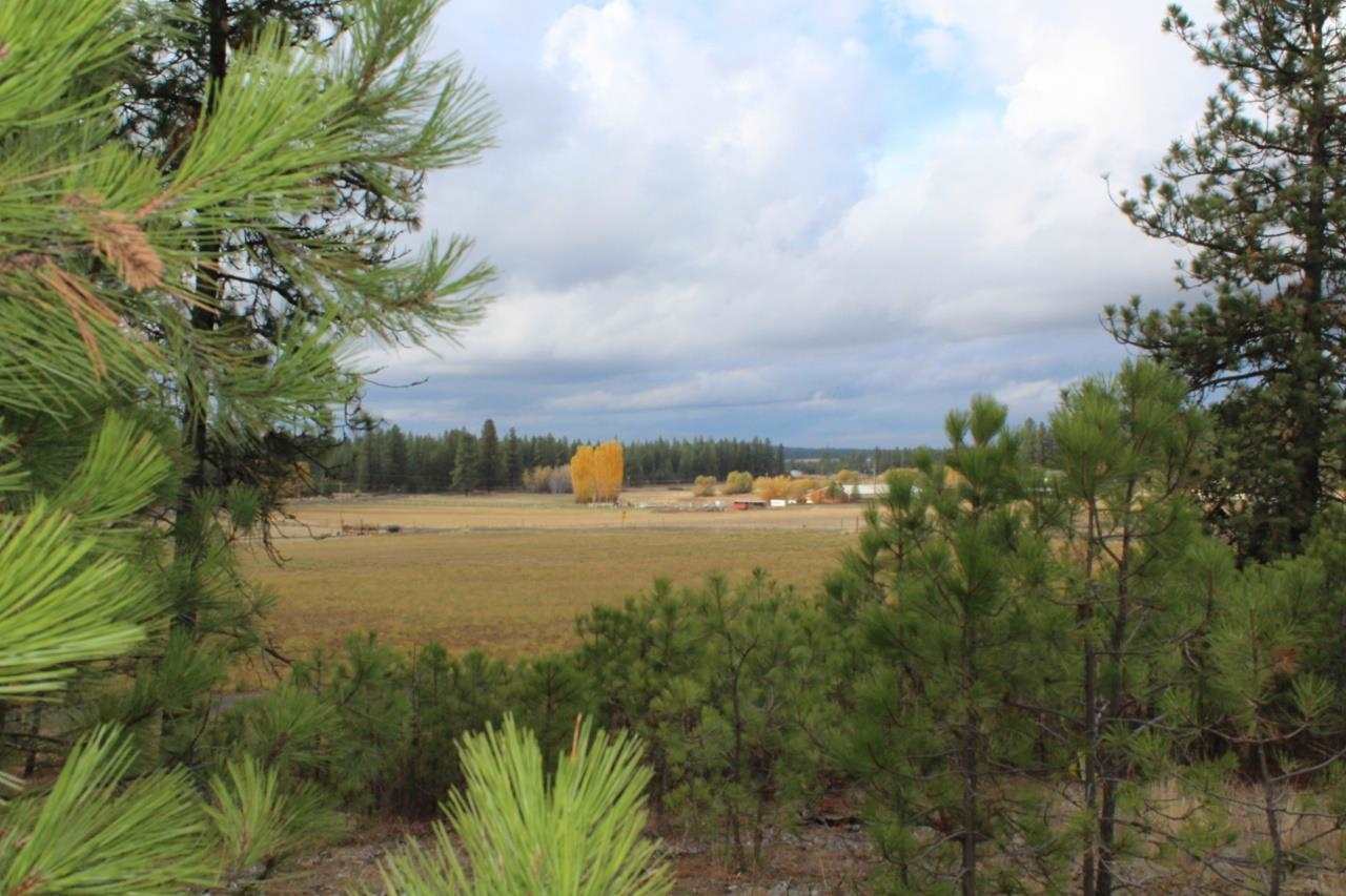 13210 South Short Road Cheney, WA 99004 - Photo 13 of 17