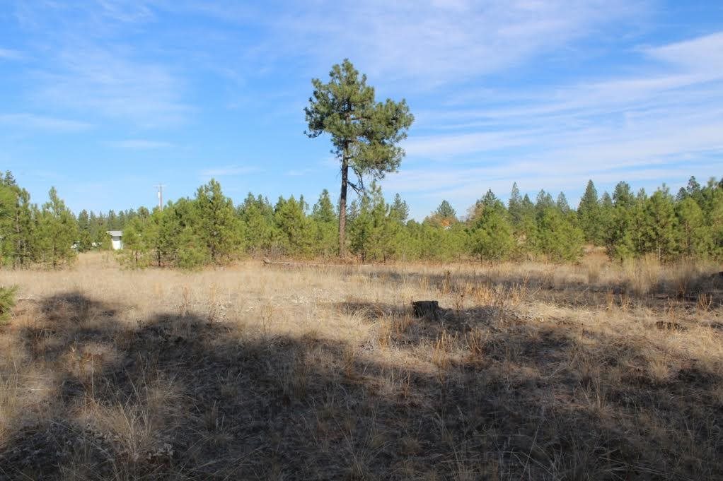 13210 South Short Road Cheney, WA 99004 - Photo 16 of 17