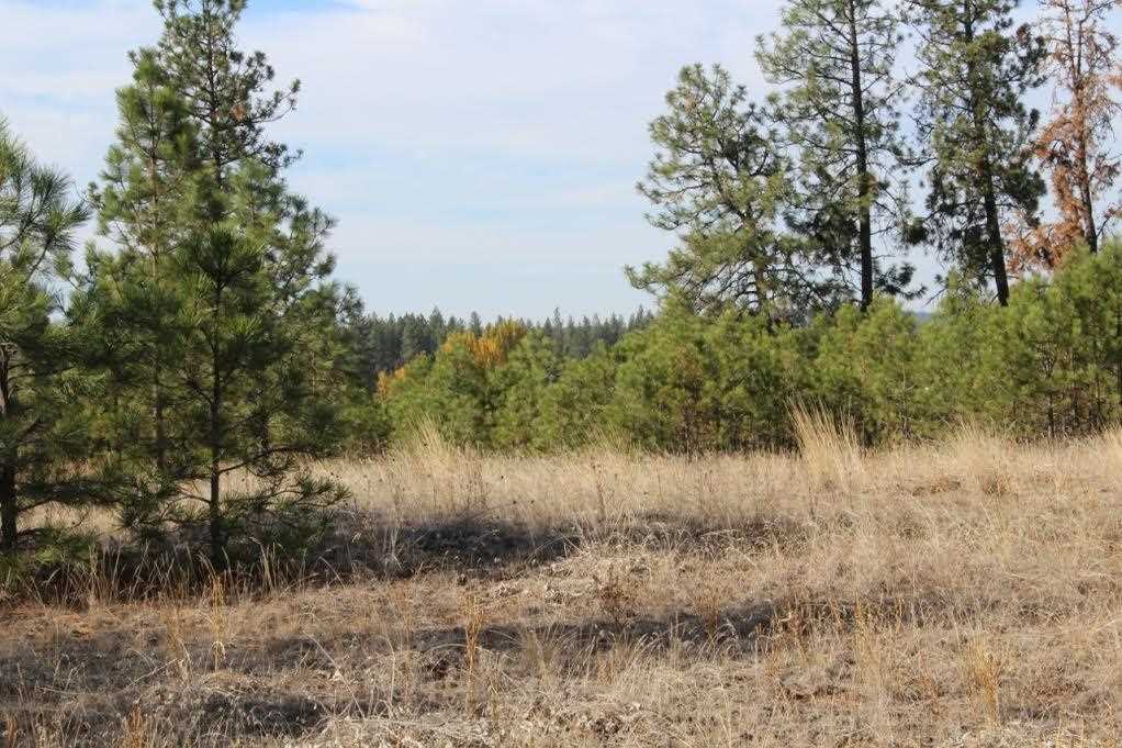 13210 South Short Road Cheney, WA 99004 - Photo 17 of 17