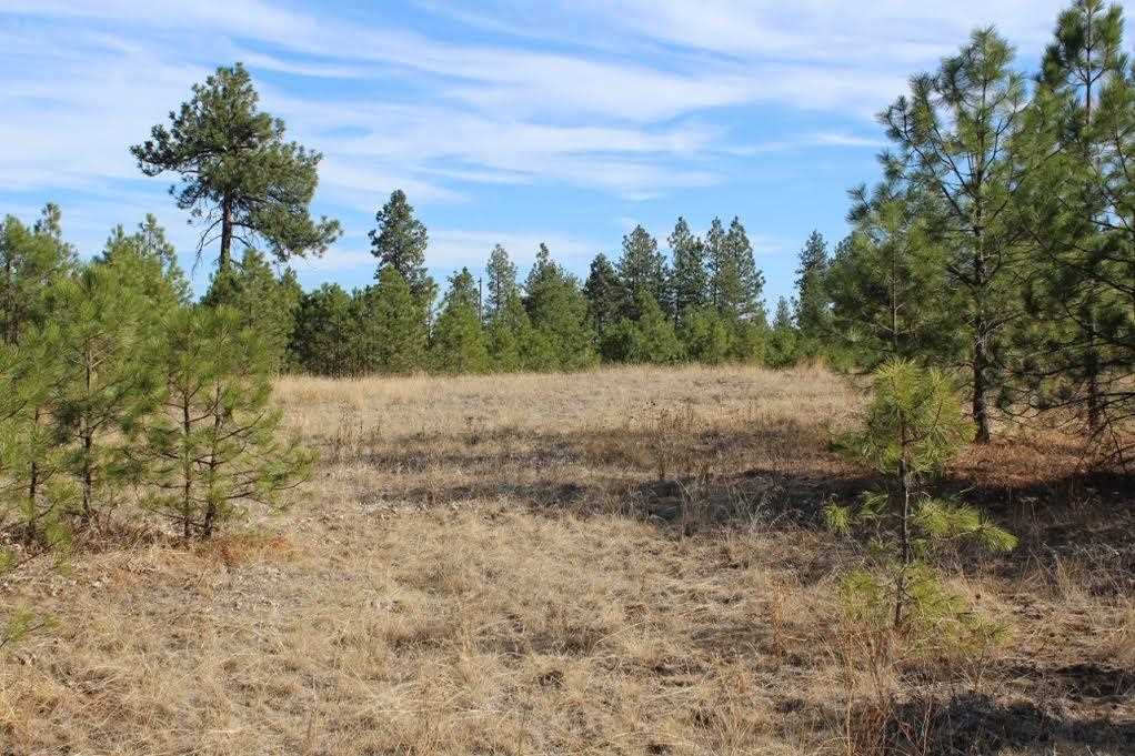 13210 South Short Road Cheney, WA 99004 - Photo 3 of 17