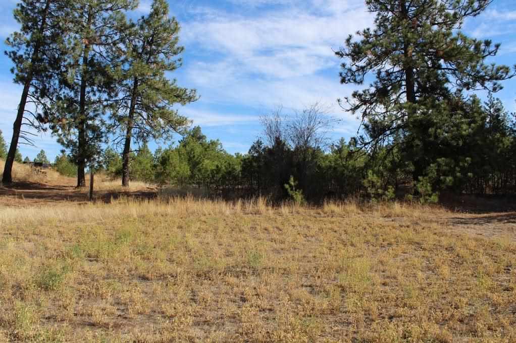13210 South Short Road Cheney, WA 99004 - Photo 5 of 17