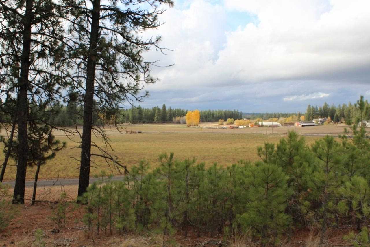 13210 South Short Road Cheney, WA 99004 - Photo 10 of 17