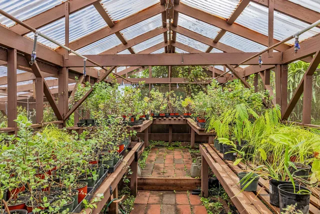 a view of a yard with plants