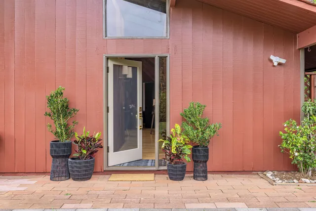 a potted plant sitting in front of a door
