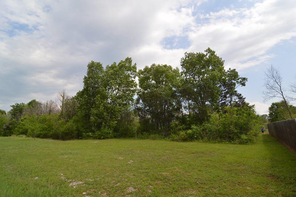 87 Baldy Ford Road Lebanon, TN 37090 - Photo 3 of 5 Gallery Image 3