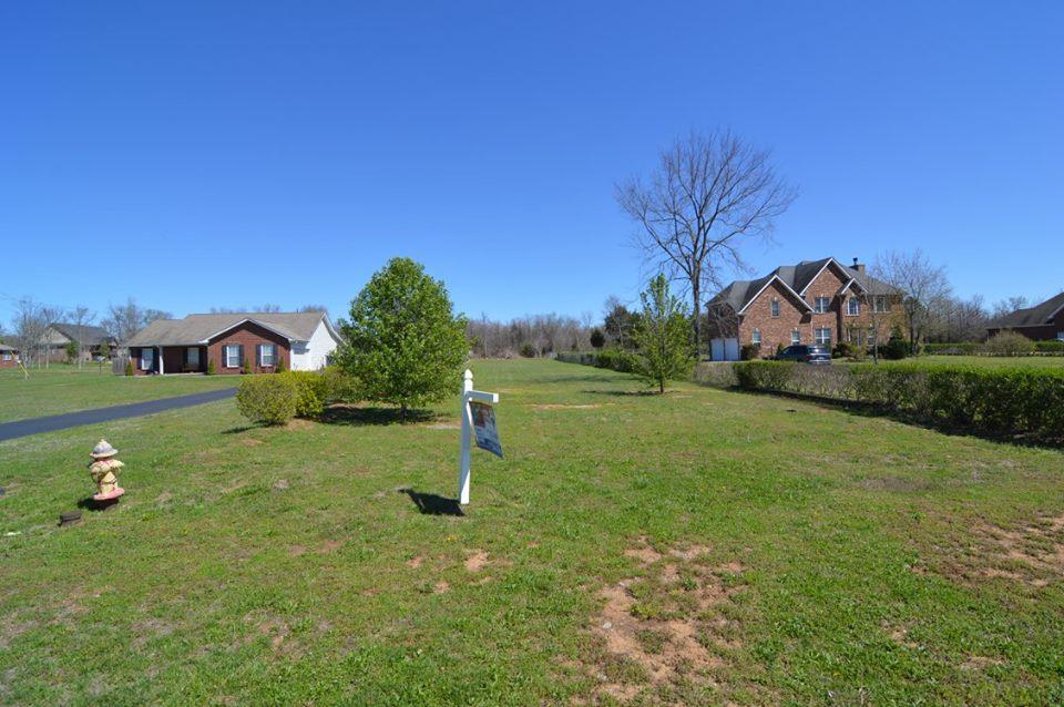 87 Baldy Ford Road Lebanon, TN 37090 - Photo 4 of 5 Gallery Image 4