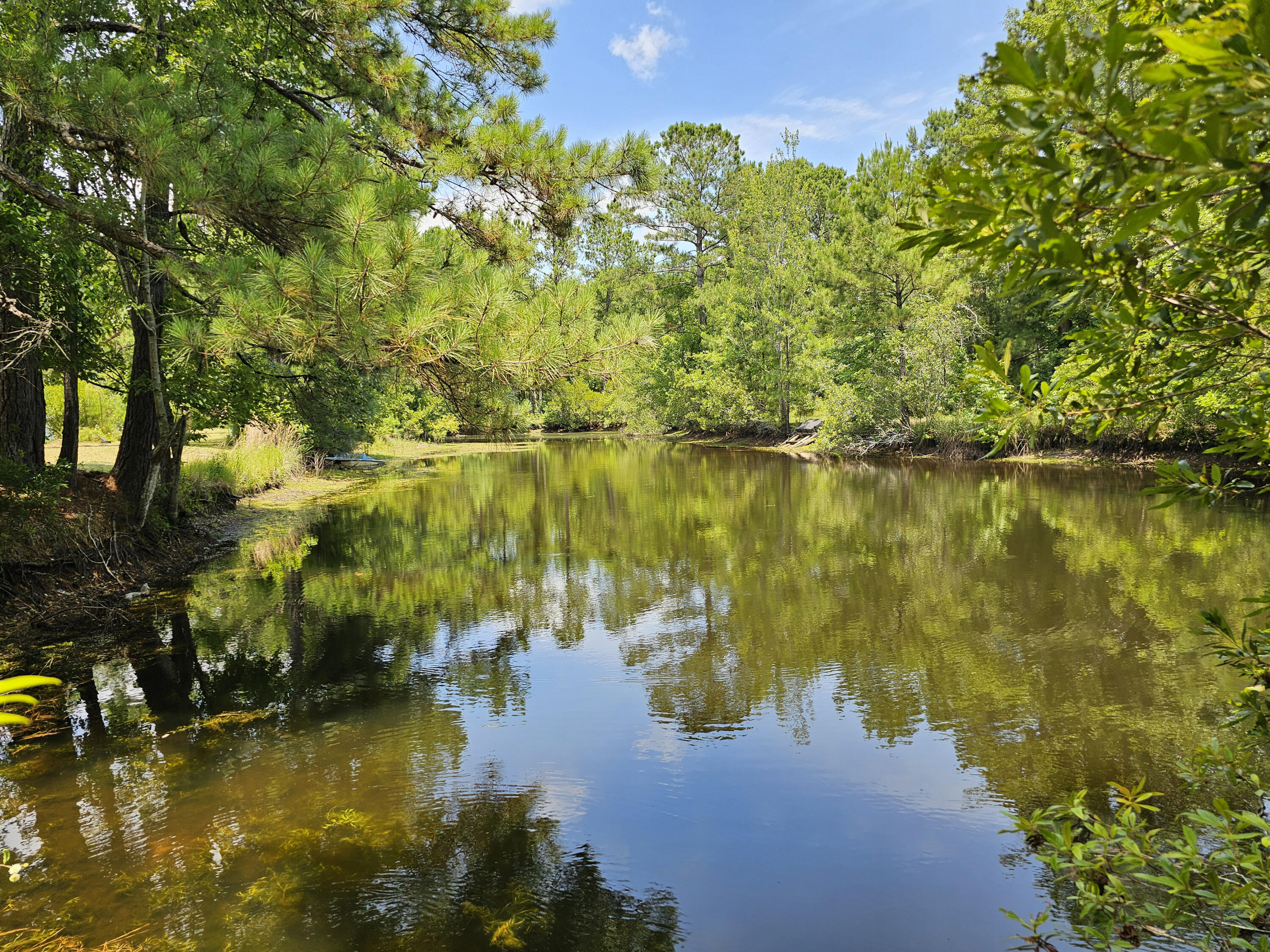 8142 Doar Road Awendaw, SC 29429 - Photo 4 of 31 5-Pond