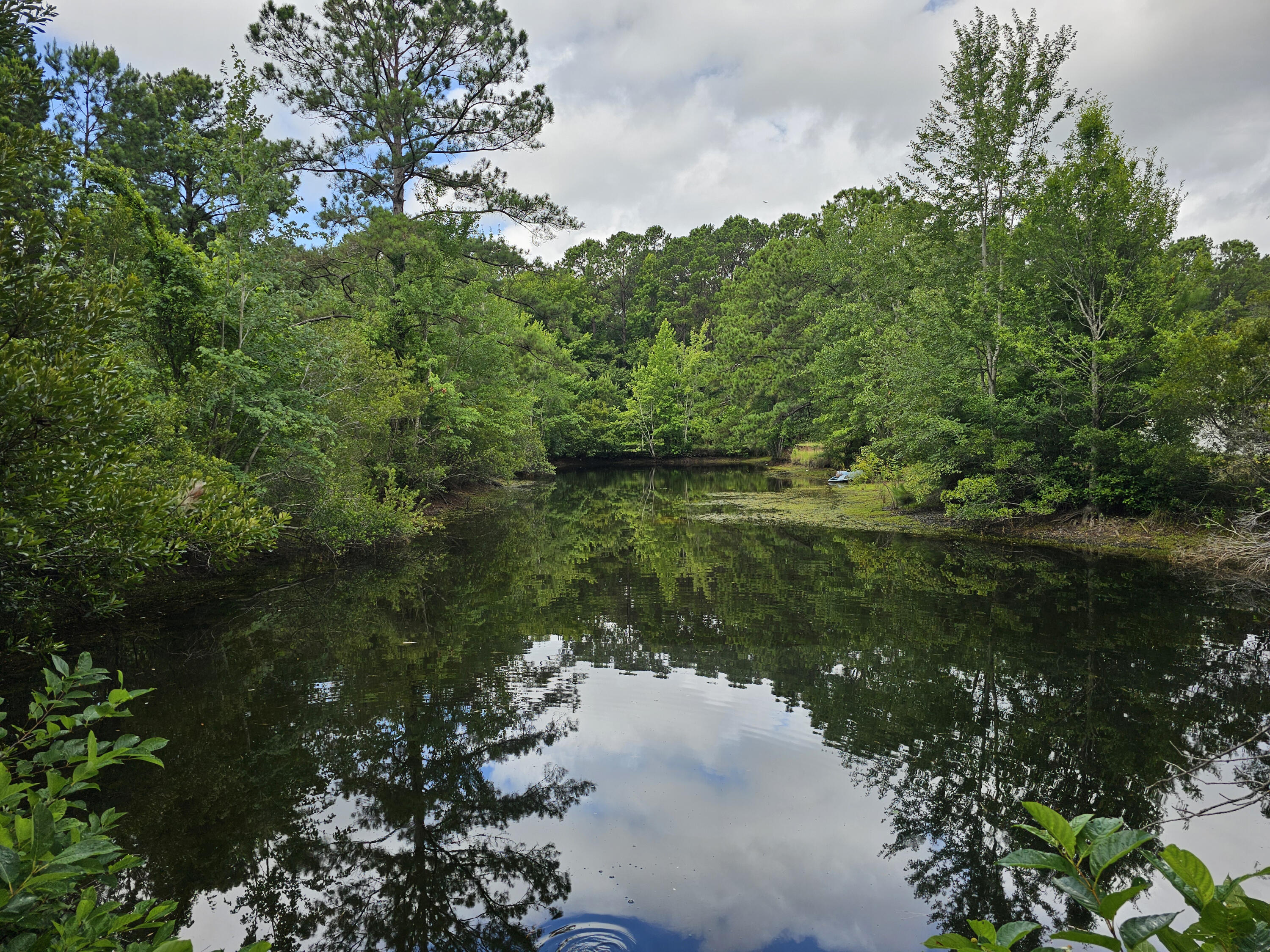 8142 Doar Road Awendaw, SC 29429 - Photo 5 of 31 Pond