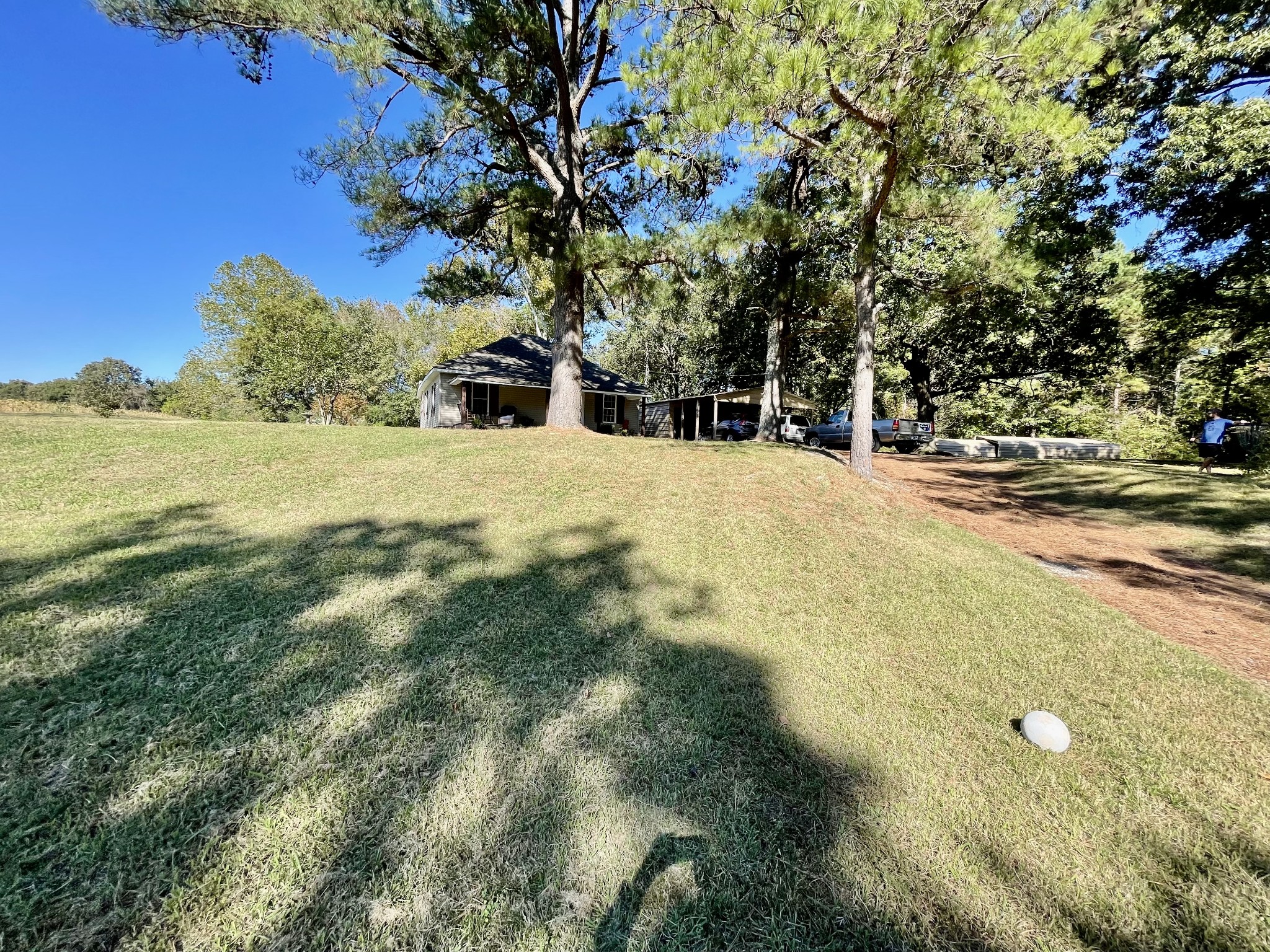 319 Jim Jackson Road Humboldt, TN 38343 - Photo 30 of 63