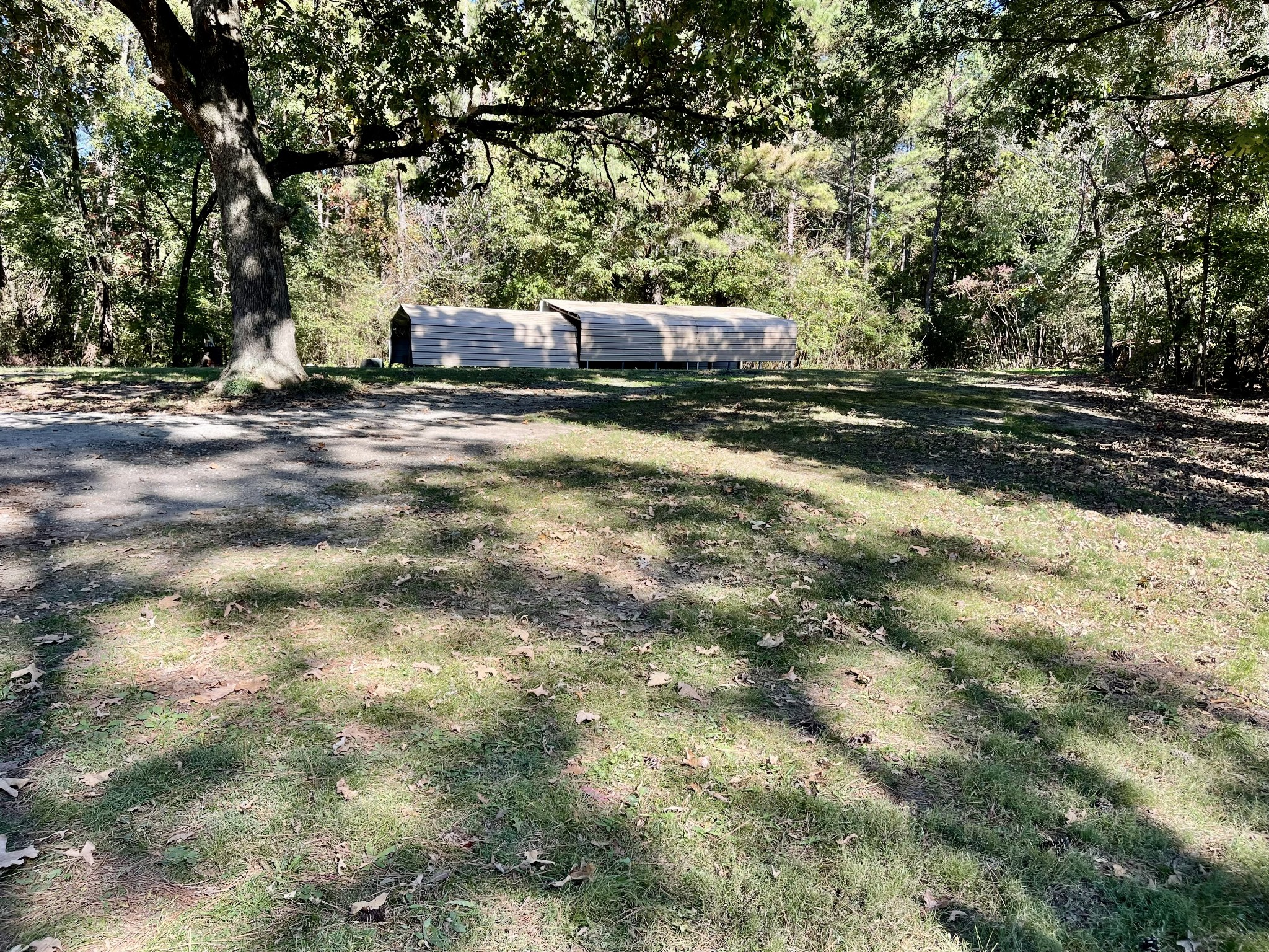 319 Jim Jackson Road Humboldt, TN 38343 - Photo 33 of 63