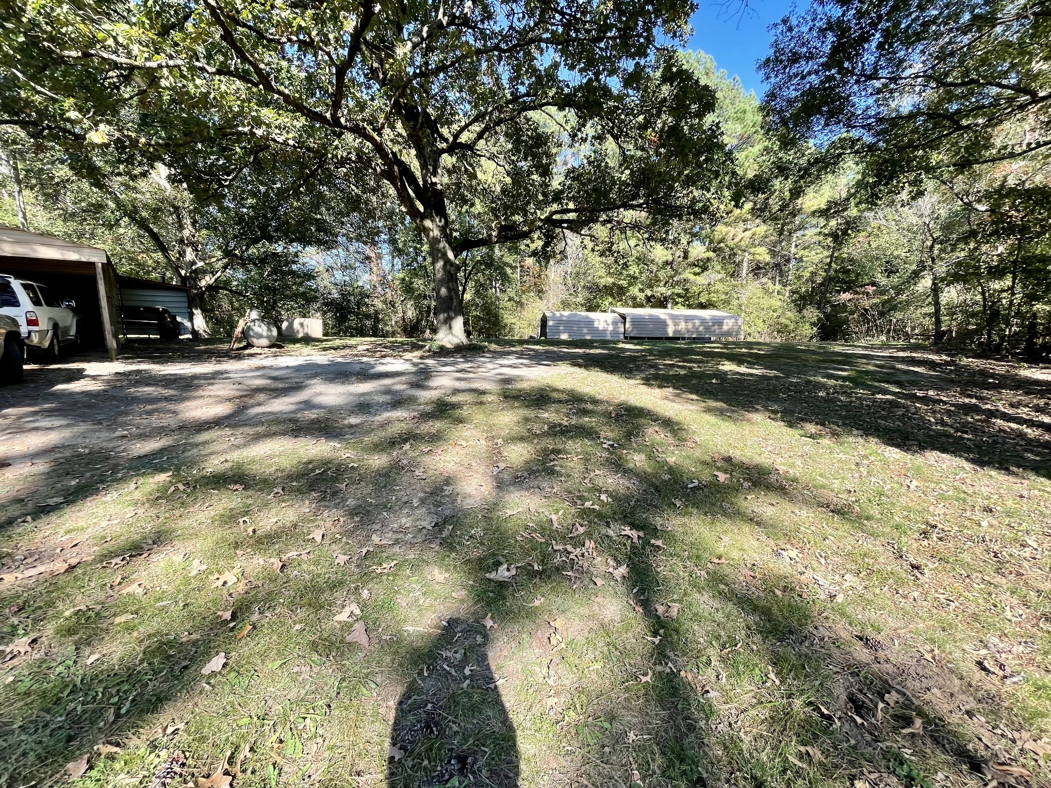 319 Jim Jackson Road Humboldt, TN 38343 - Photo 34 of 63 a view of house with trees in the background