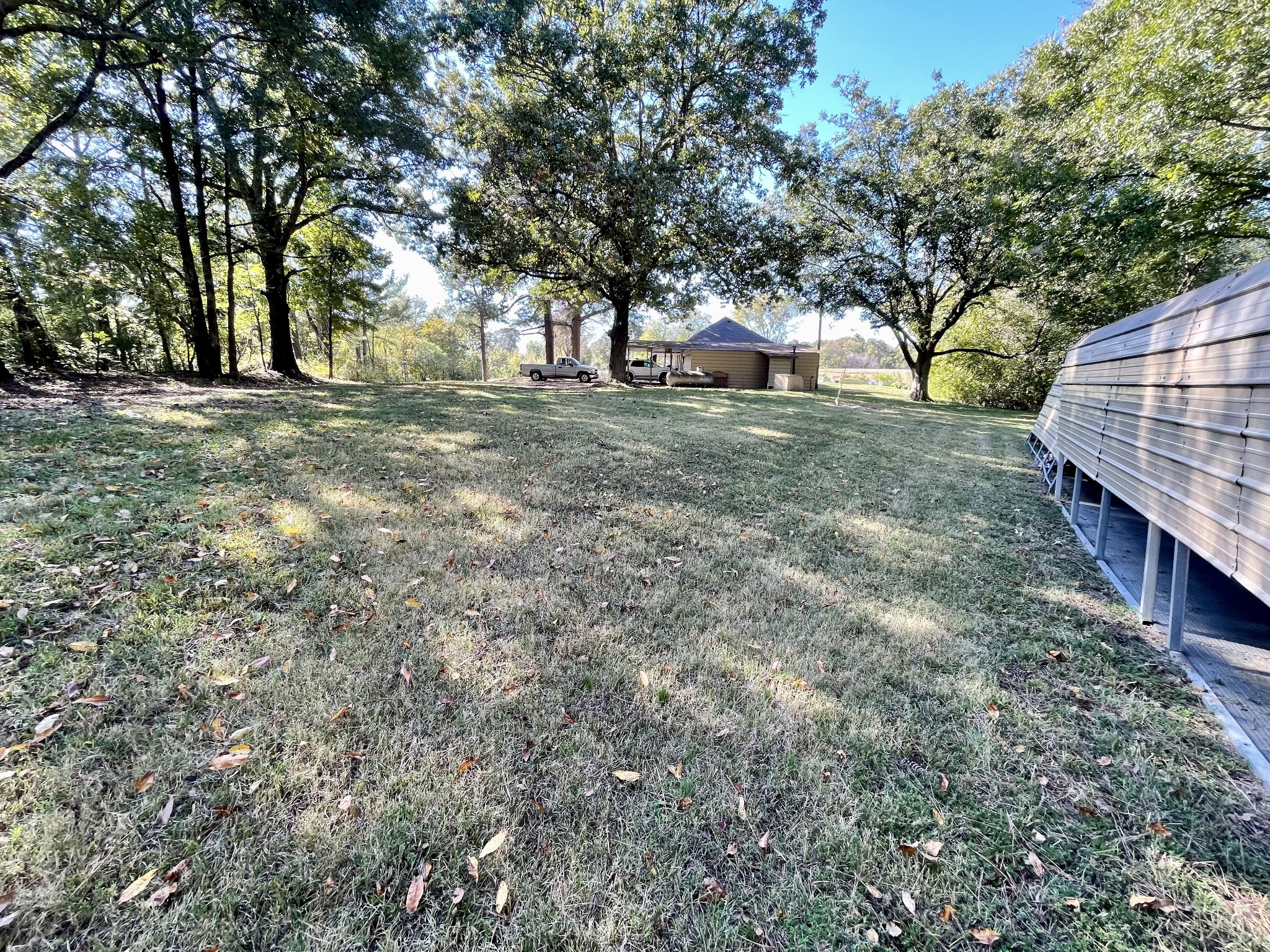 319 Jim Jackson Road Humboldt, TN 38343 - Photo 46 of 63 a view of yard with tree and green space