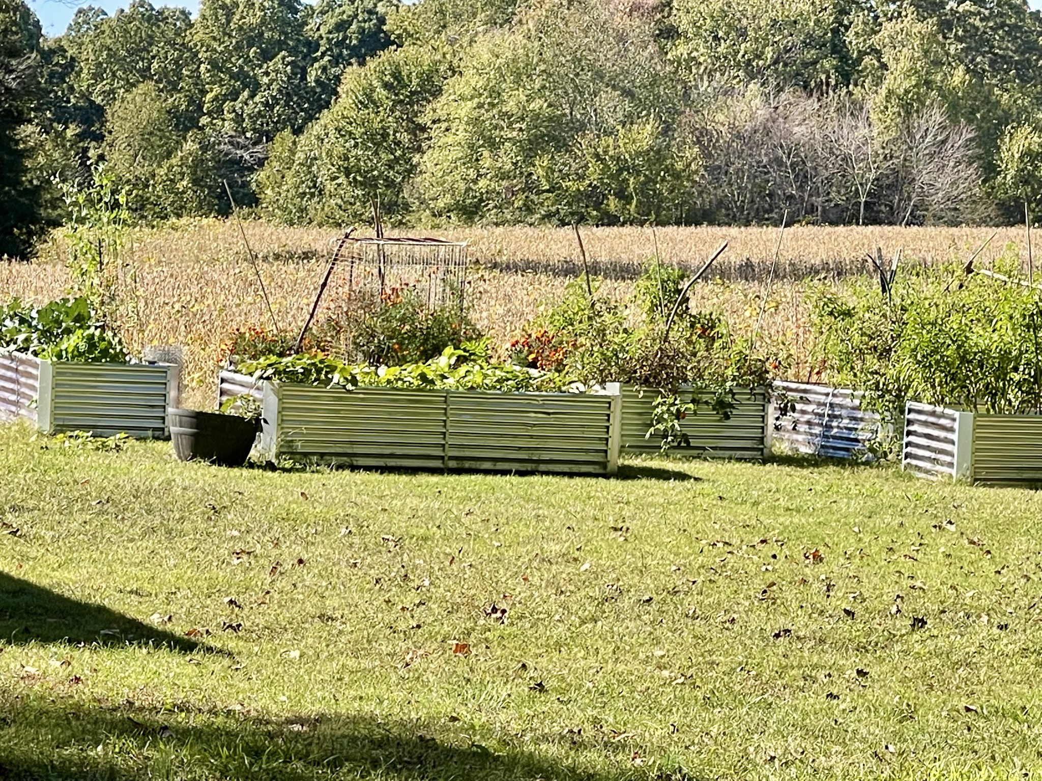 319 Jim Jackson Road Humboldt, TN 38343 - Photo 48 of 63 a view of outdoor space and garden