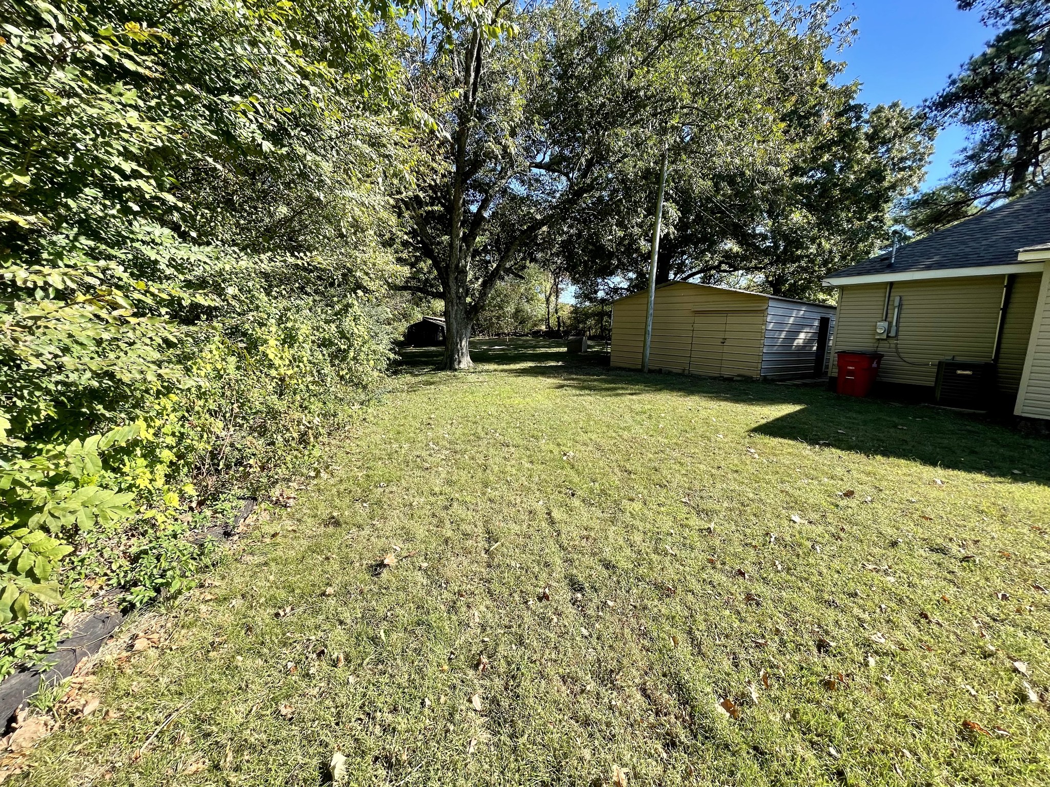 319 Jim Jackson Road Humboldt, TN 38343 - Photo 53 of 63 a backyard of a house with yard and tree