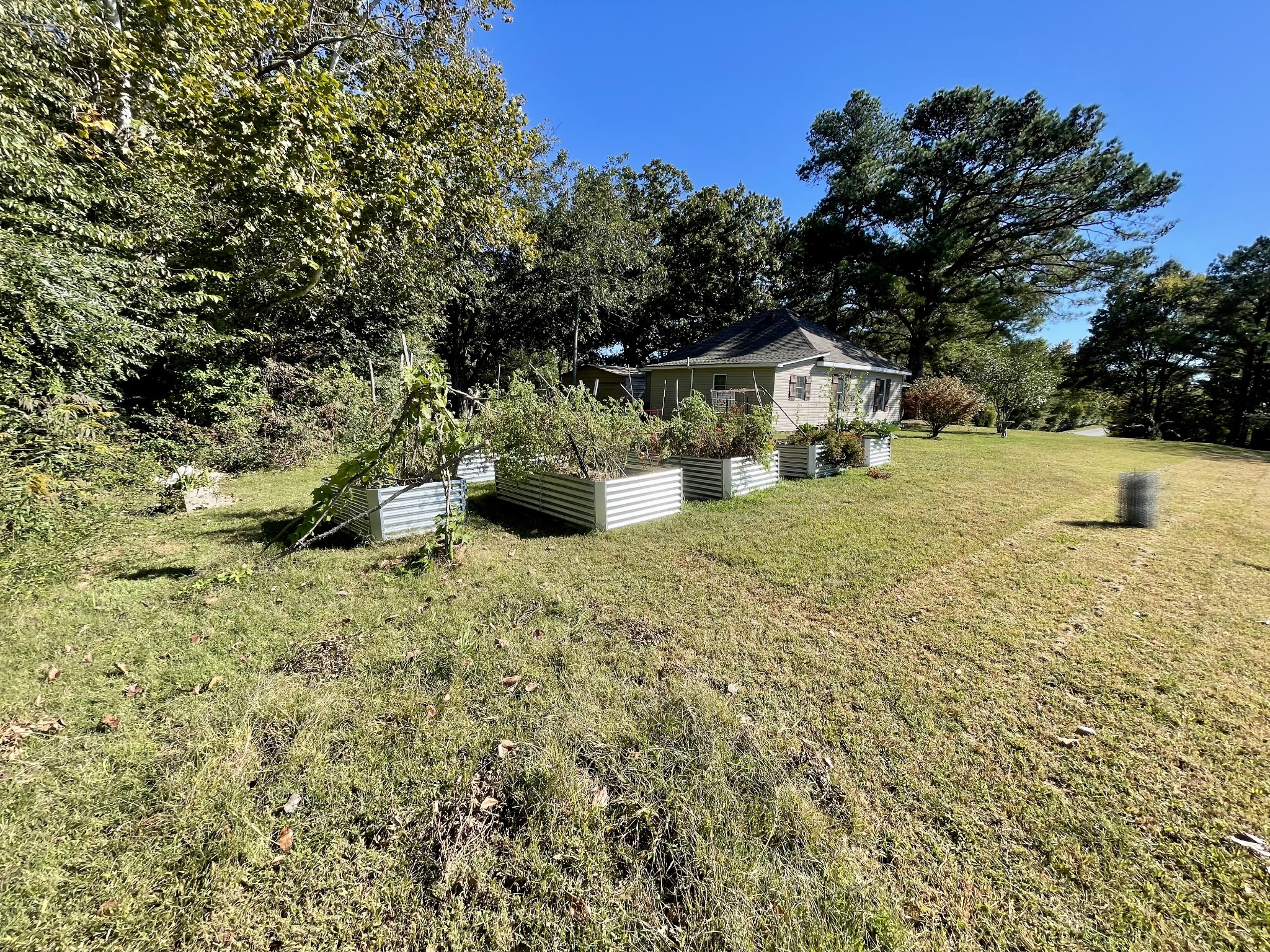 319 Jim Jackson Road Humboldt, TN 38343 - Photo 54 of 63 a view of a house with a yard