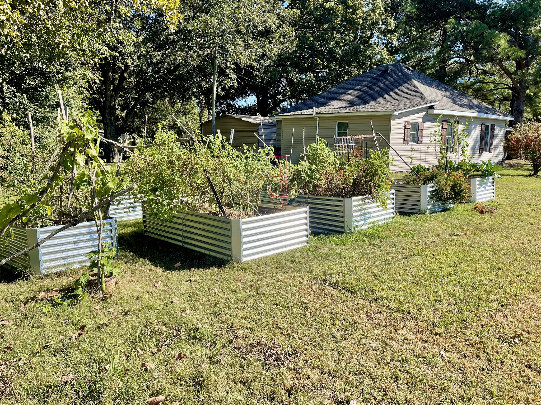 319 Jim Jackson Road Humboldt, TN 38343 - Photo 55 of 63 a house view with a garden space