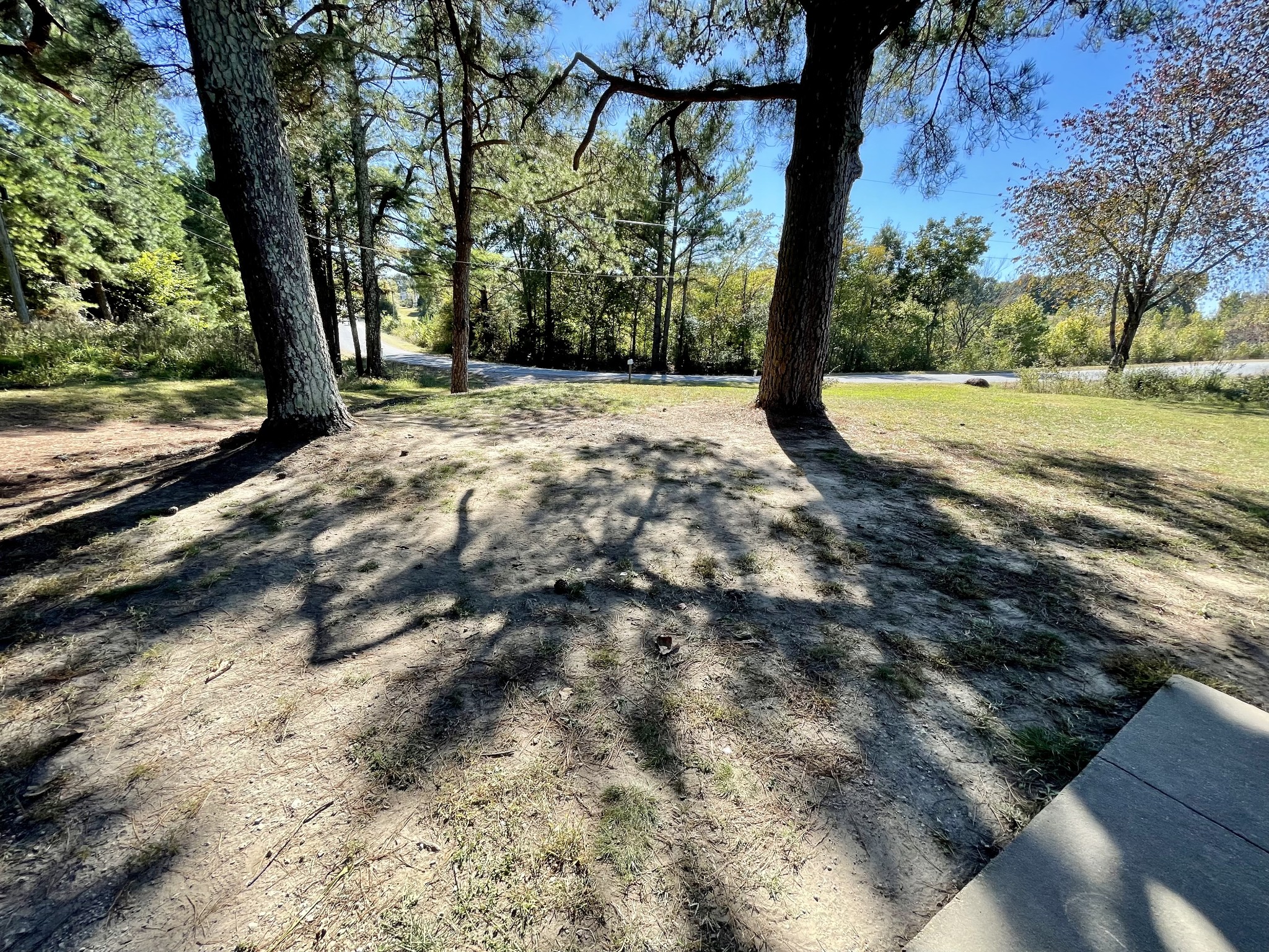 319 Jim Jackson Road Humboldt, TN 38343 - Photo 60 of 63 a view of a yard with an tree