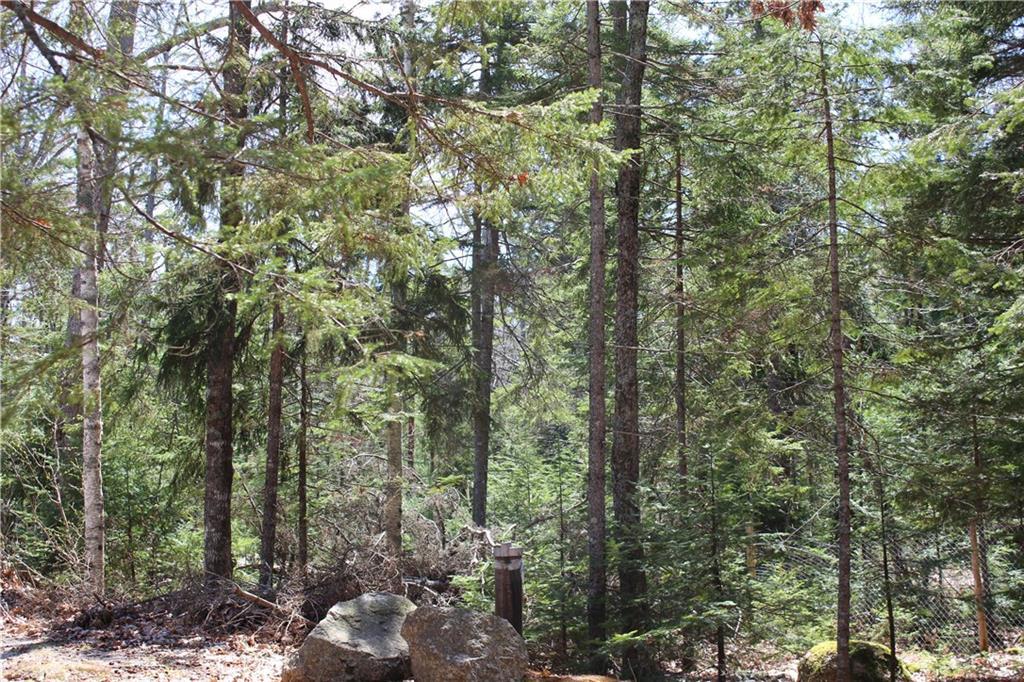 123 Decorum Road Surry, ME 04684 - Photo 27 of 33 Photo