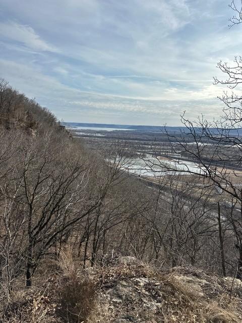 Lot 1 Alma Hills Alma, WI 54610 - Photo 10 of 14
