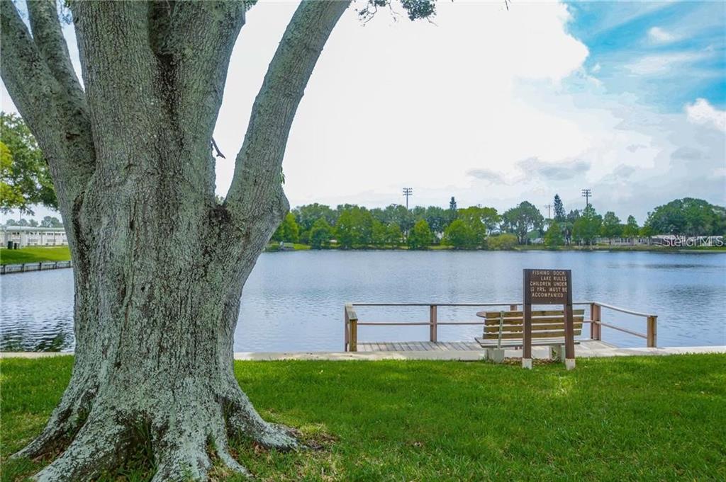 12501 Ulmerton Road, Unit 217 Largo, FL 33774 - Photo 32 of 34