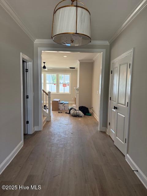 104 Whispering Pine Lane Holly Ridge, NC 28445 - Photo 64 of 80 IMG_7919